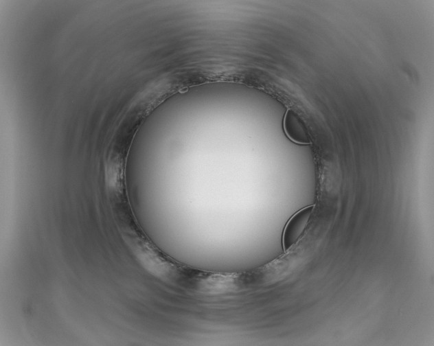 X0000111000138200906261507