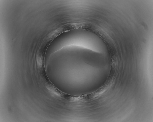 X0000111000139200906261507