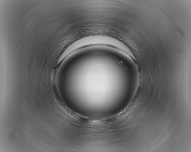 X0000111000141200906261507