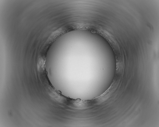 X0000111000142200906261506