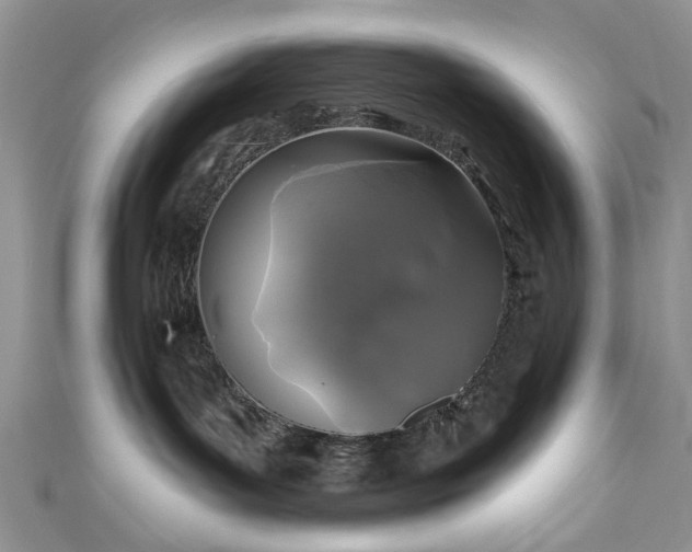 X0000111000143200906261506