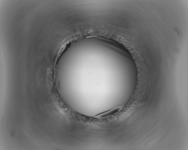 X0000111000144200906261506