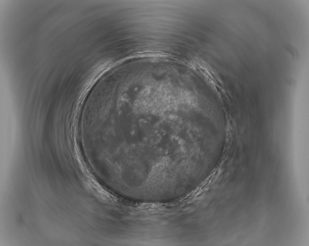 X0000111000145200906261506