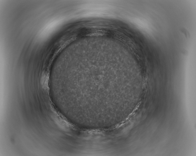 X0000111000146200906261506