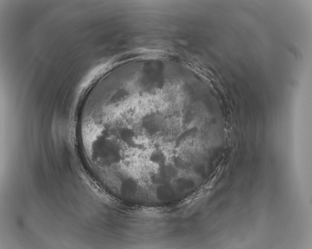 X0000111000149200906261506