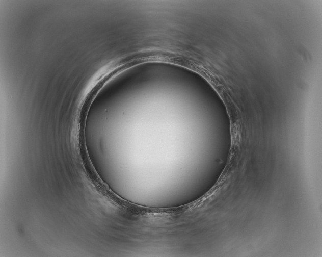 X0000111000150200906261506