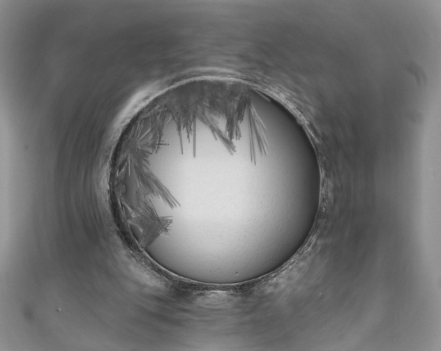X0000111000151200906261506
