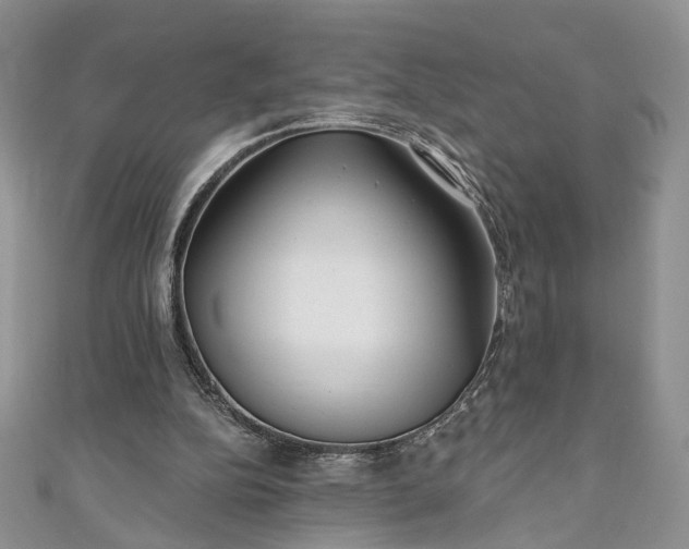 X0000111000152200906261506