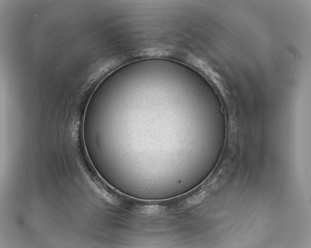 X0000111000153200906261506