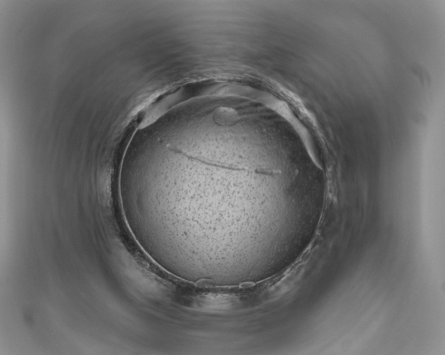 X0000111000154200906261506