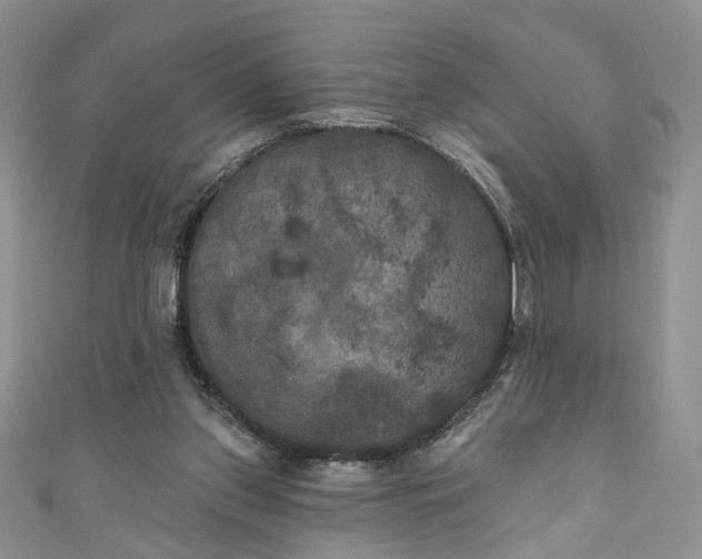 X0000111000157200906261506