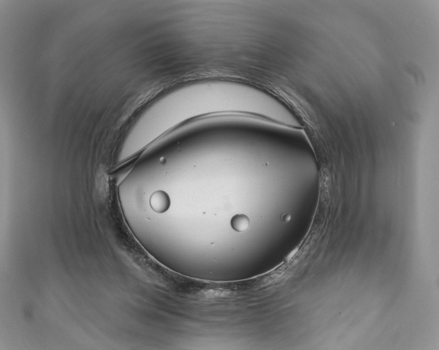 X0000111000158200906261506