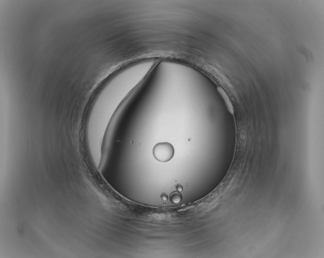 X0000111000160200906261506