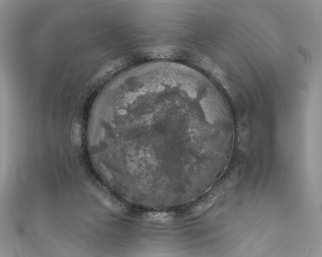 X0000111000161200906261506