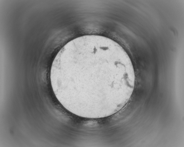 X0000111000162200906261506