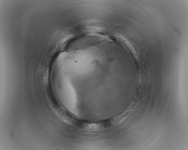 X0000111000163200906261506