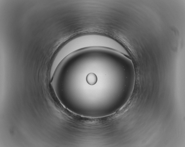 X0000111000164200906261506