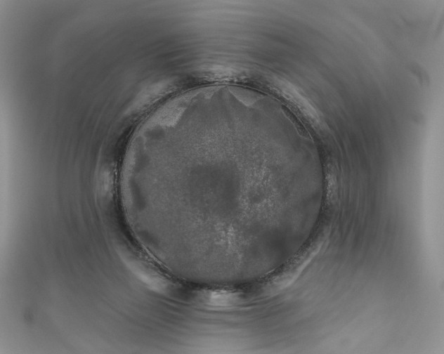 X0000111000165200906261506