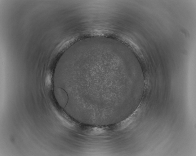 X0000111000166200906261506