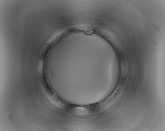 X0000111000167200906261506