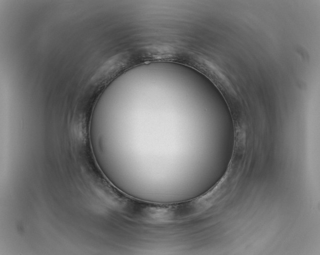 X0000111000170200906261506