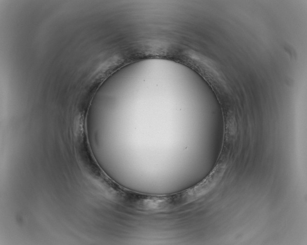 X0000111000172200906261506