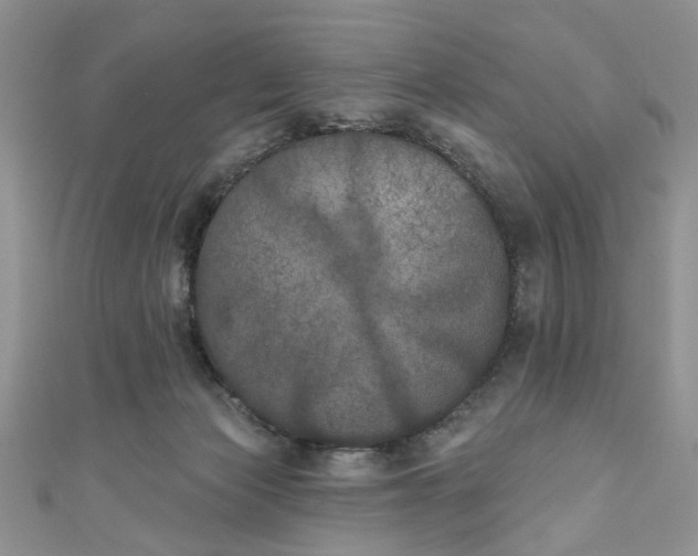 X0000111000173200906261506