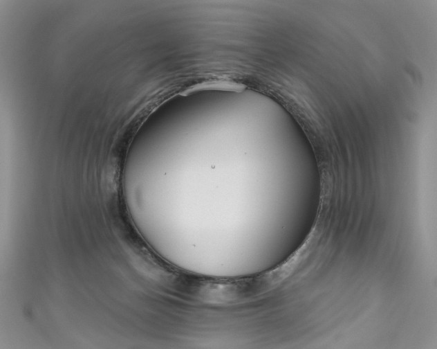 X0000111000174200906261506