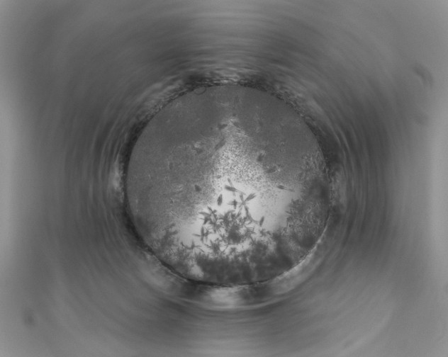 X0000111000178200906261506