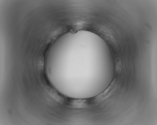 X0000111000179200906261506