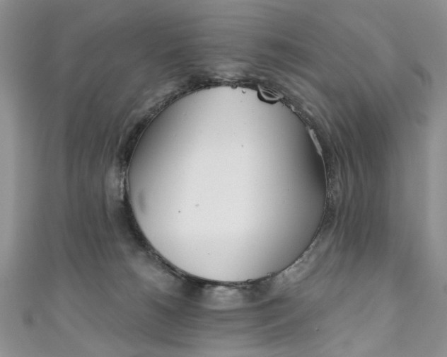 X0000111000180200906261506