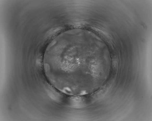 X0000111000181200906261506