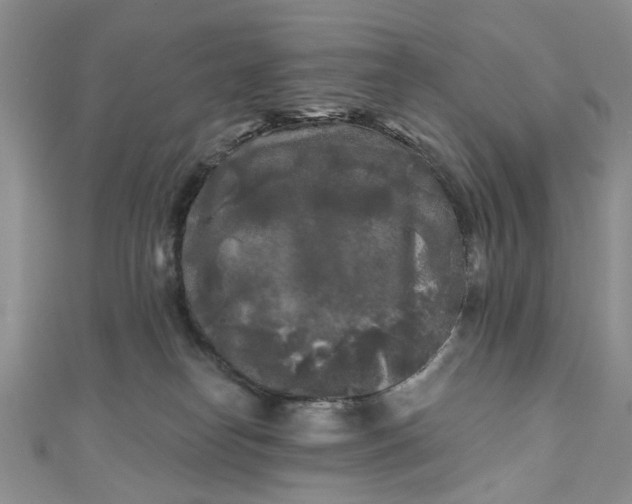 X0000111000182200906261506