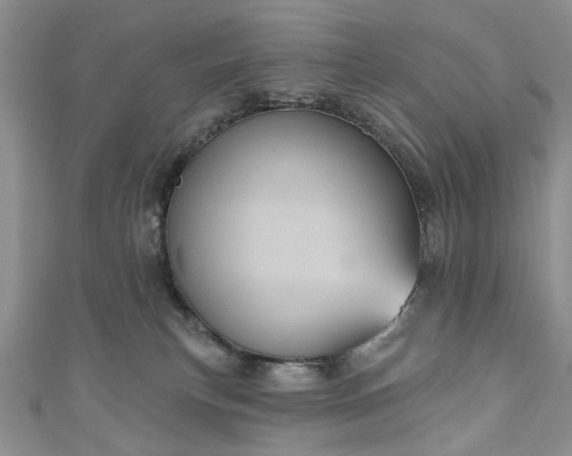 X0000111000183200906261506