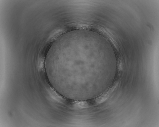 X0000111000185200906261506