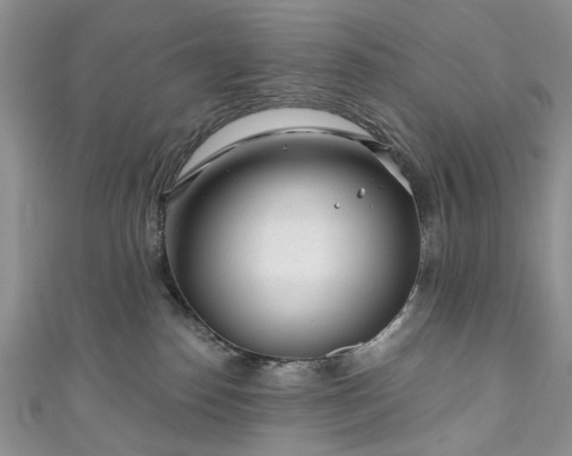 X0000111000186200906261506