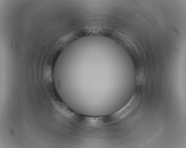 X0000111000187200906261506