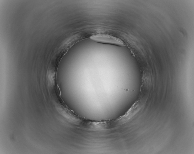 X0000111000188200906261506