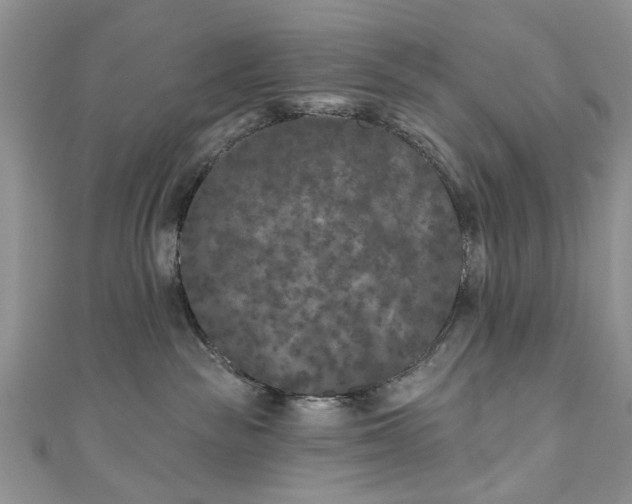 X0000111000189200906261506