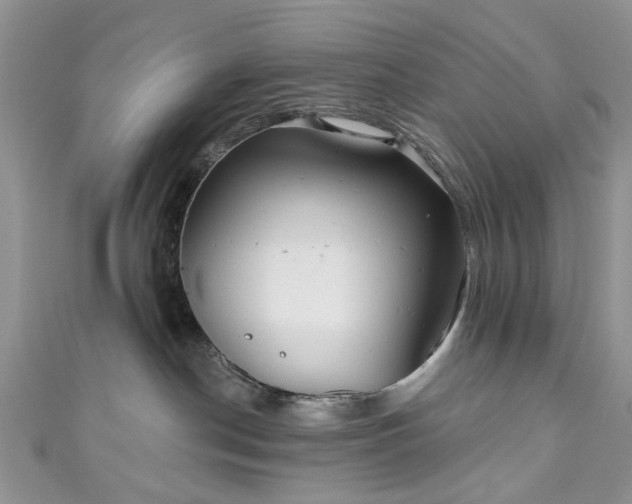 X0000111000190200906261506