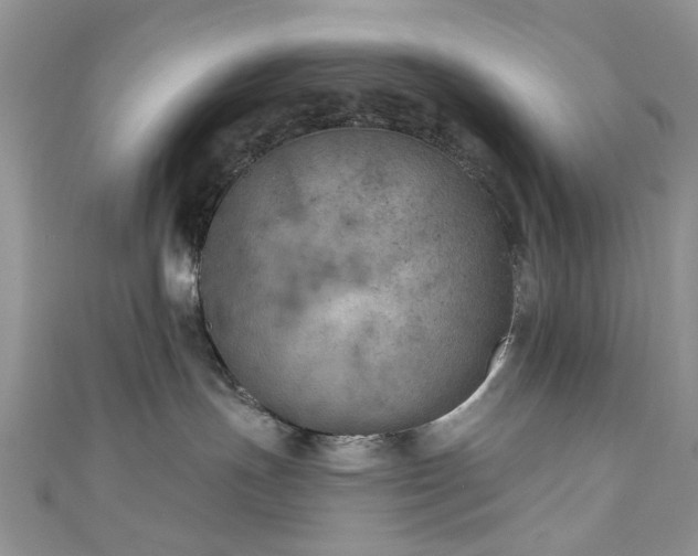 X0000111000191200906261506