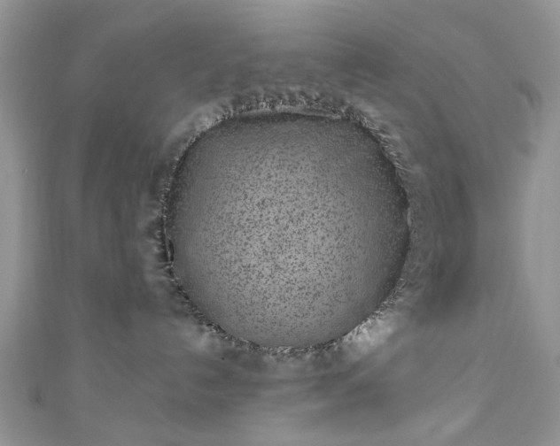 X0000111000192200906261506