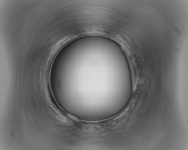 X0000111000193200906261506