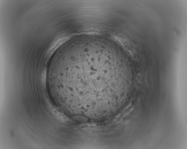 X0000111000194200906261506