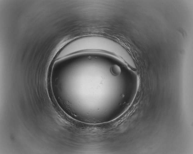 X0000111000195200906261506