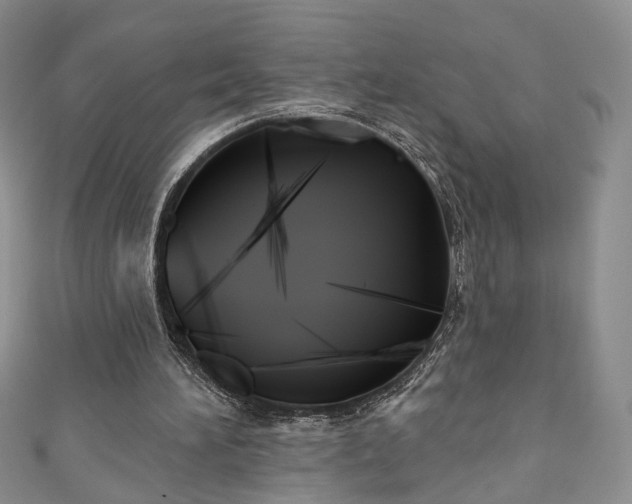 X0000111000196200906261506