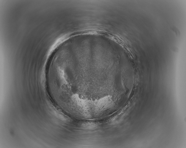 X0000111000198200906261506