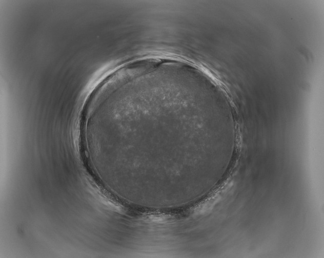 X0000111000199200906261506