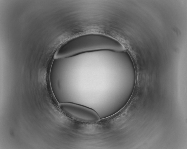 X0000111000201200906261506