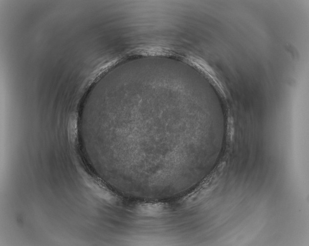 X0000111000202200906261506